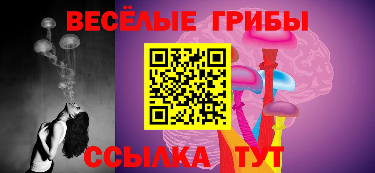 Галлюциногенные грибы Cubensis  Вход с VPN  Наро-Фоминск 